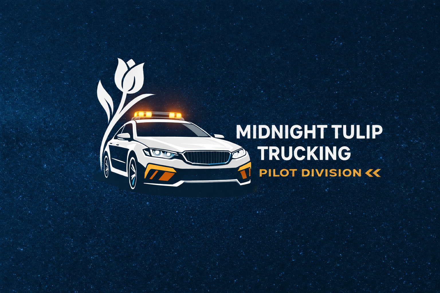 MTT Pilot Service